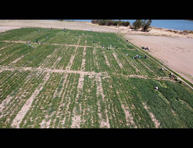 16.70HA FARM FOR SALE IN PAARL RURAL